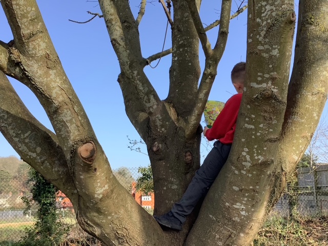AspleyGSchool's tweet photo. Wonderful World Book Day.
The children wore hats representing their favourite books, they found new places to read and had to solve the case of Goldilocks and the damaged library!
#AimingHIgh #GrowingTogether https://t.co/Hog4iCTz4e