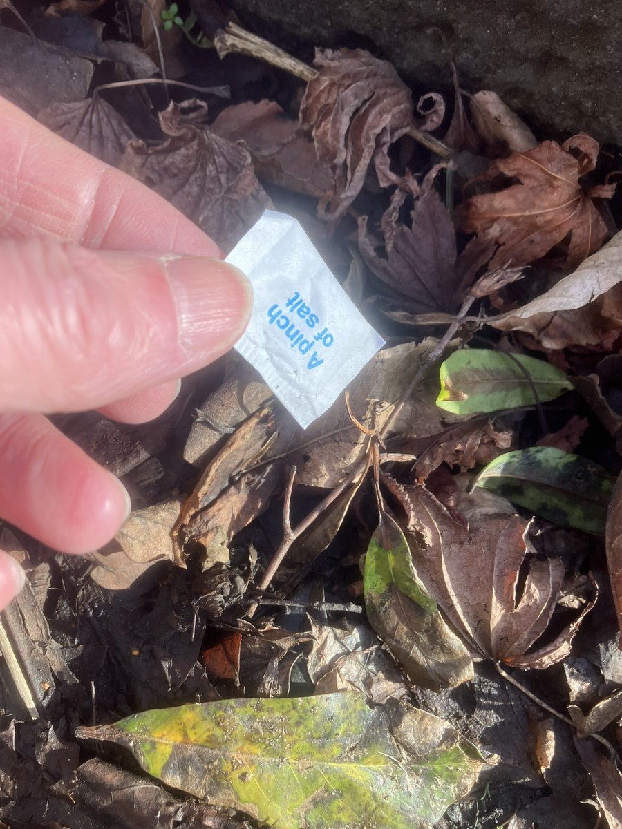 @_pickuplitter tweet media