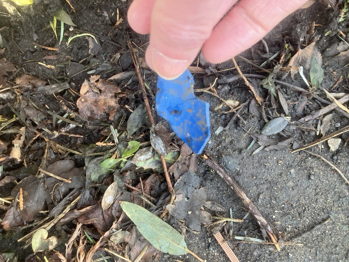 @_pickuplitter tweet media