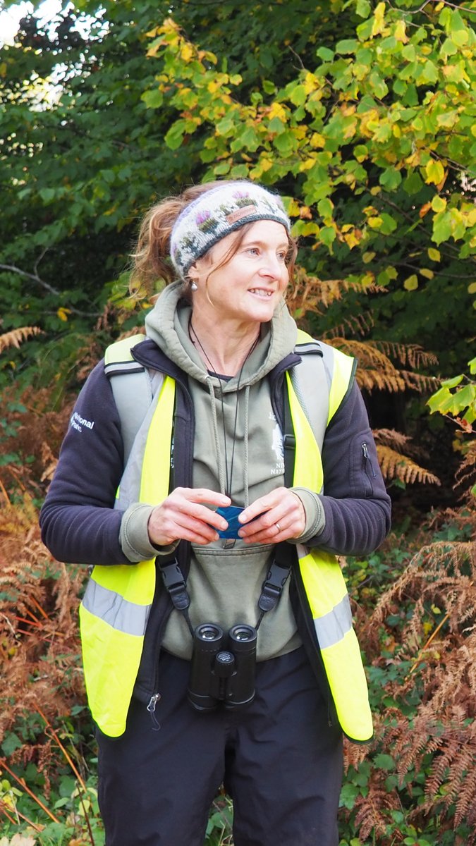 New Forest NPA tweet media