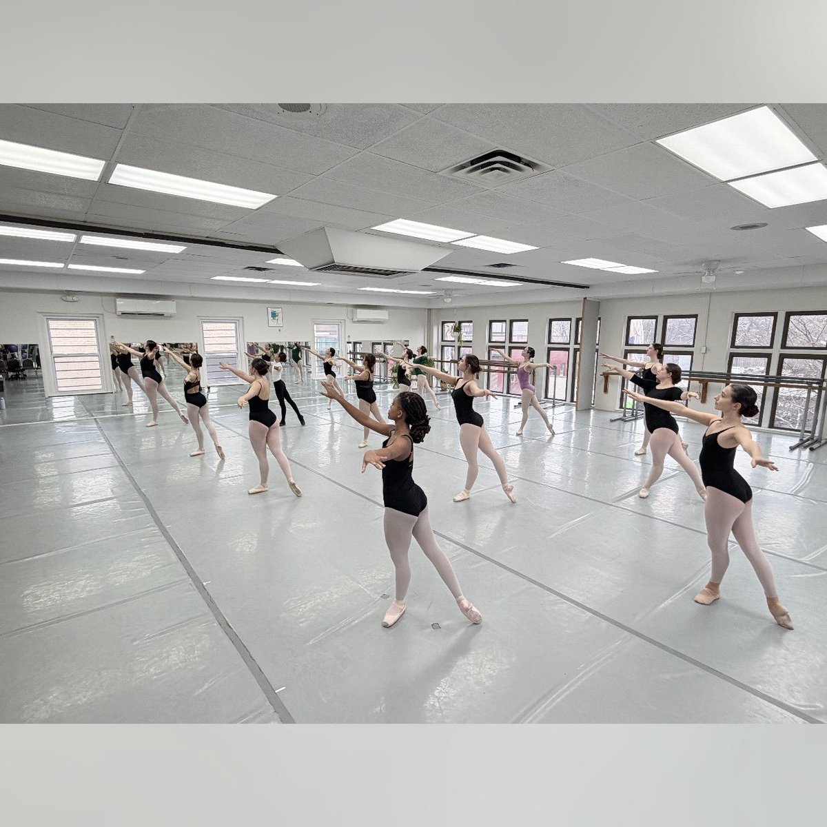 Maria Angelica Caruso tweet media