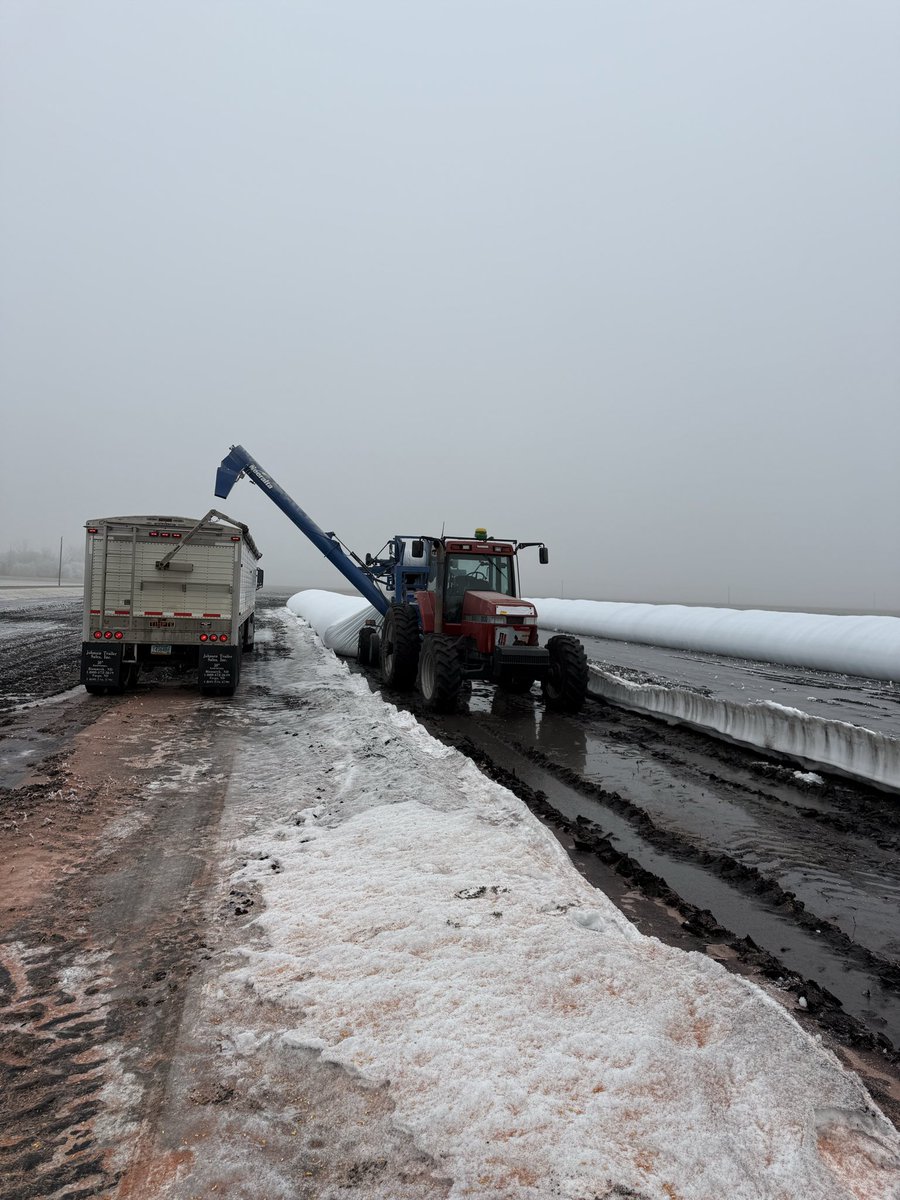 Ben Longlet 🇺🇸🌽🌱 tweet media