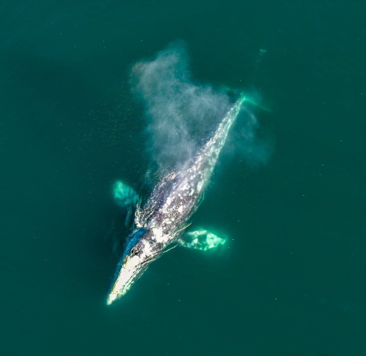 Gerardo L Gerardo-Fotografia tweet media