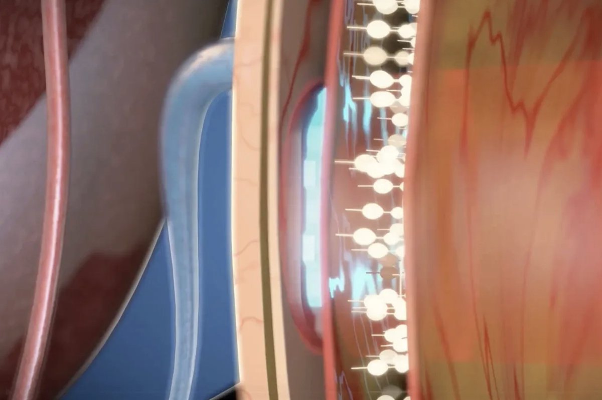 Y Combinator tweet media