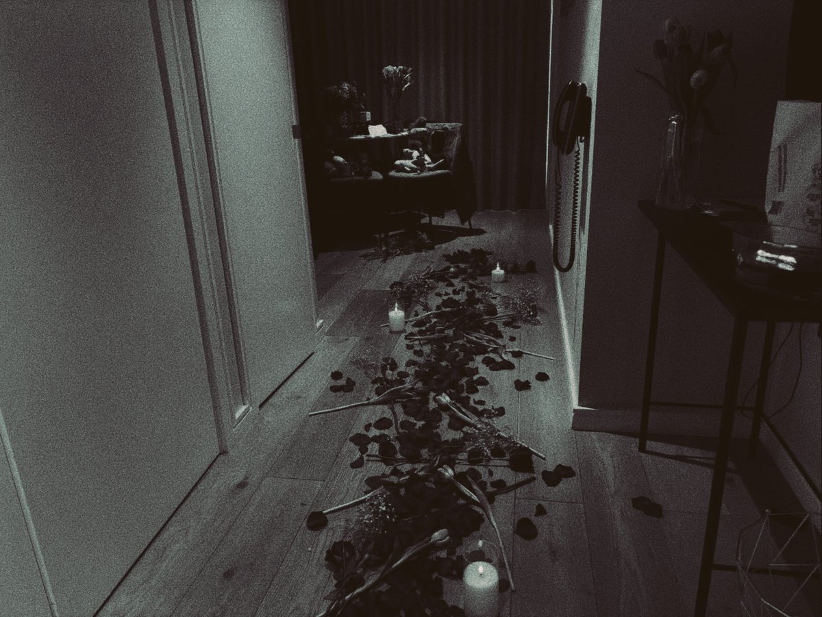 *ᅟ 𝔡ᴬ͟ᴿ͟ᴸ͟ᴵ͟ᴺ͟ᴳᅟᅠ ͏ ͏𝐨𝐟ᅟ ᅠ ͏𝐂𝙸𝙽𝙴𝙼𝙰 ི. tweet media