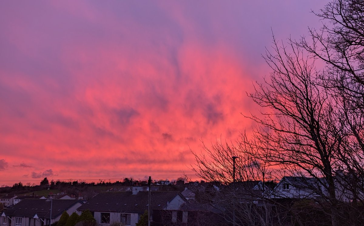 Anne Kelly ⛔NO DMs⛔ unless I know or follow you. tweet media