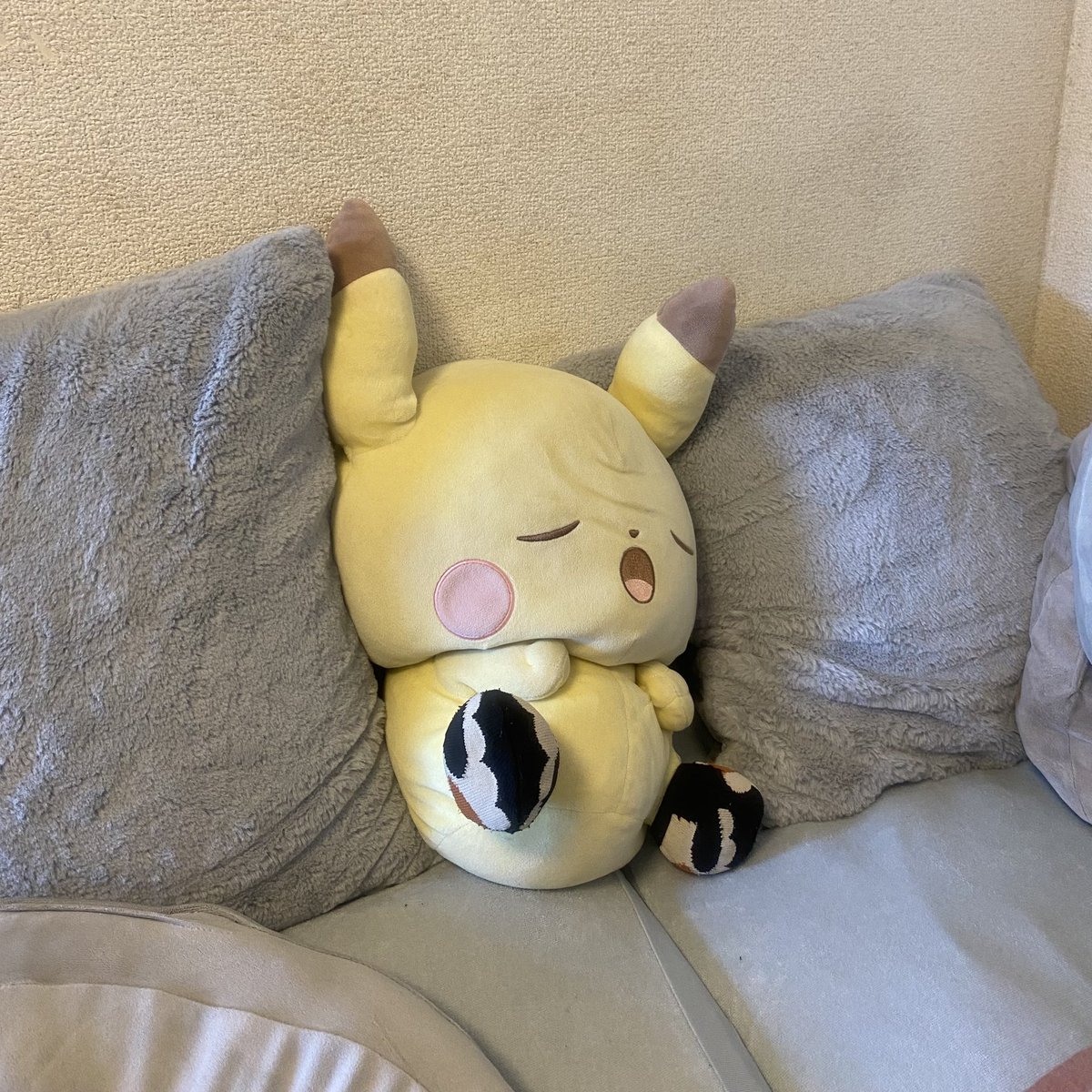 スノちゃん tweet media