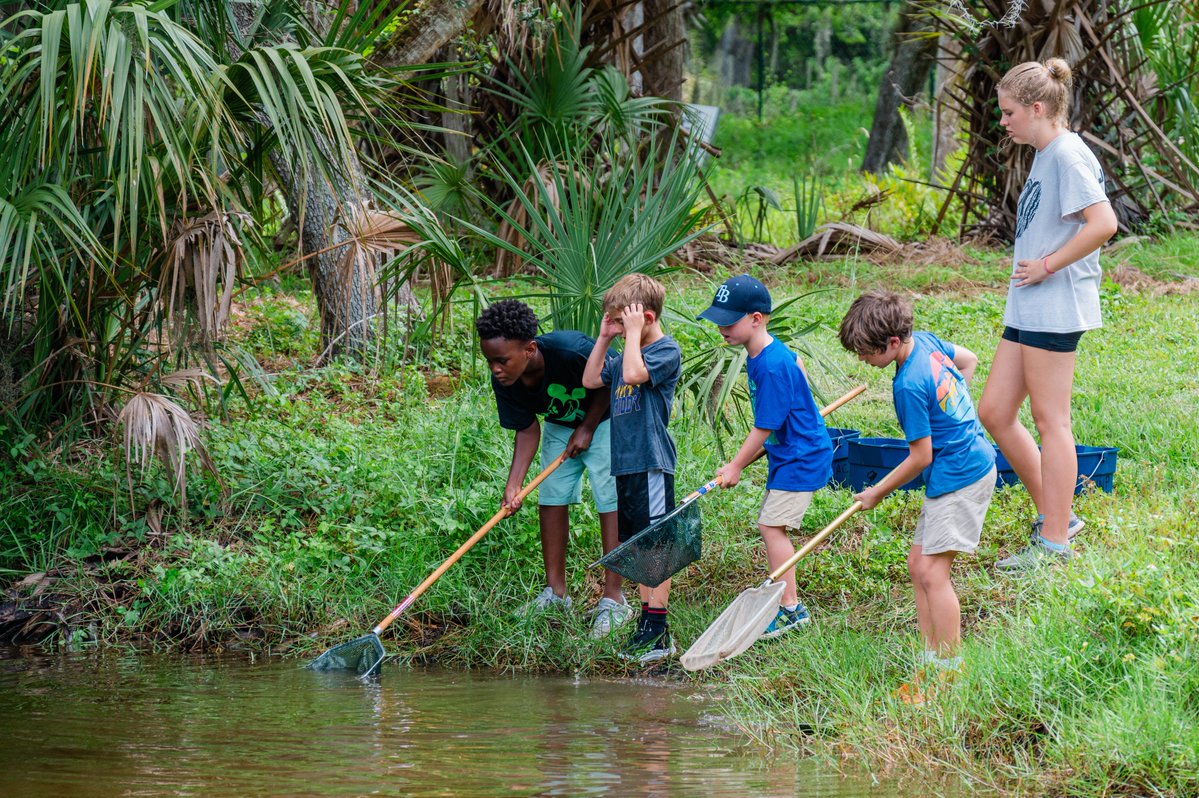 St. Pete Parks & Rec tweet media