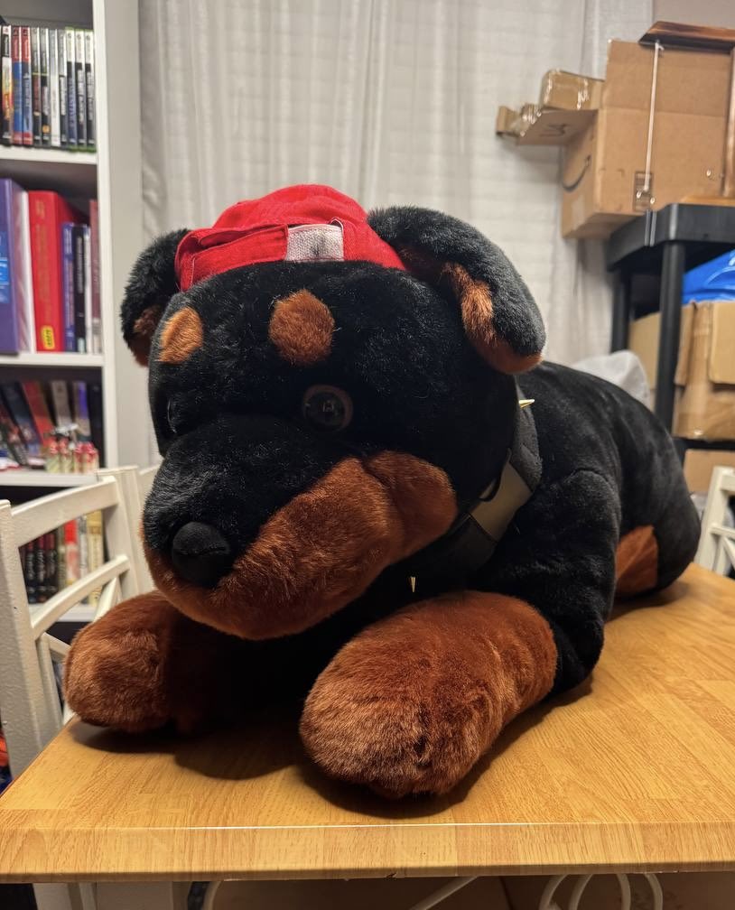 Samuel Shep/Tank Dobie 🔜 LVFC tweet media