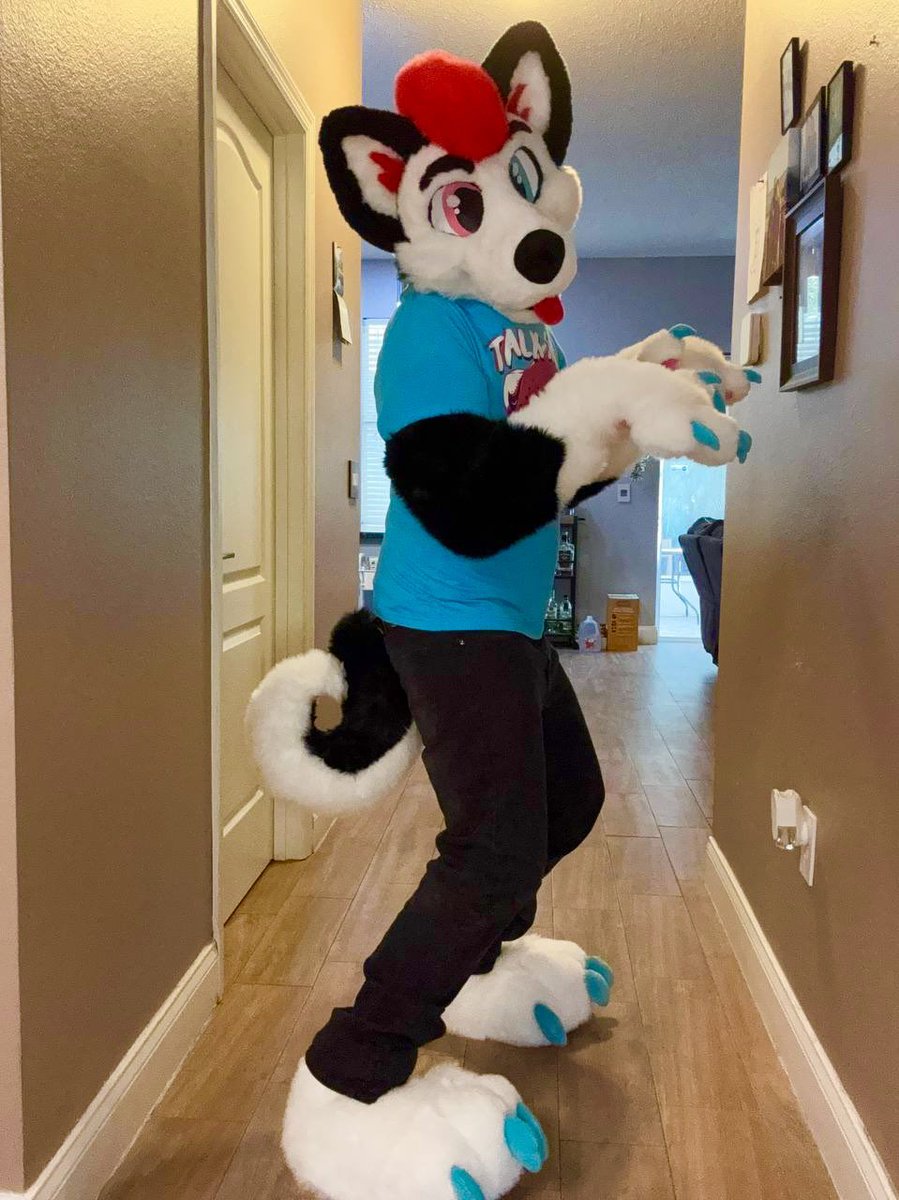 Samuel Shep/Tank Dobie 🔜 LVFC tweet media