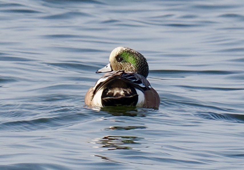 Rob Rackliffe tweet media