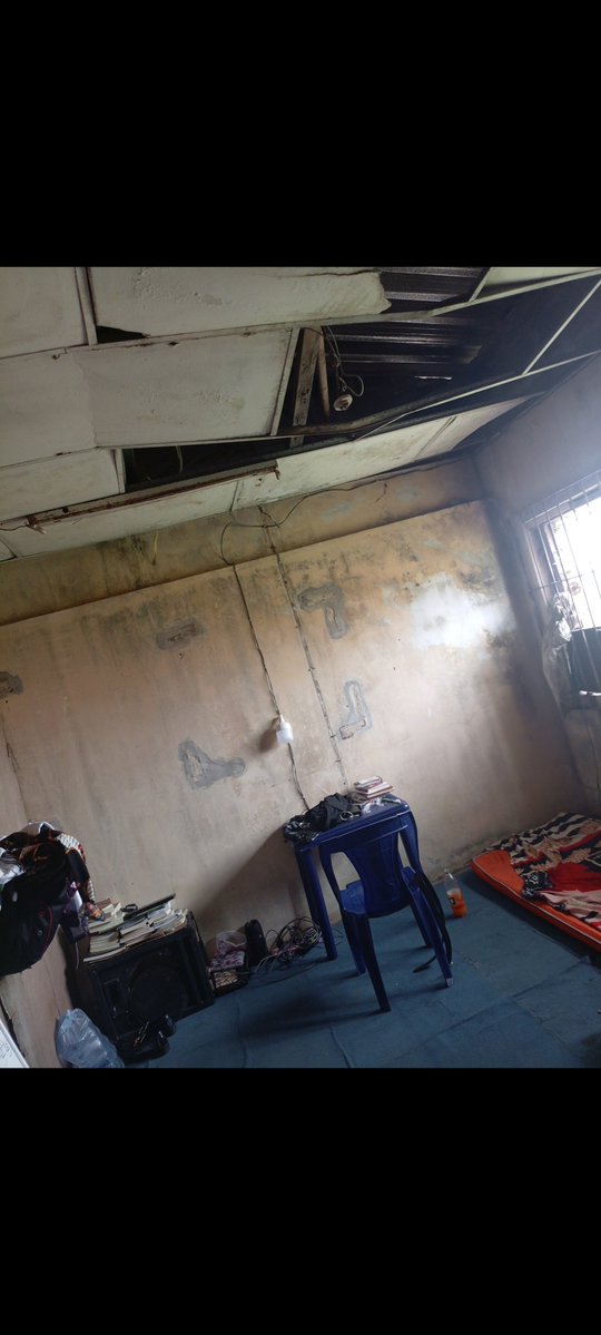 STYREX ➕ tweet media