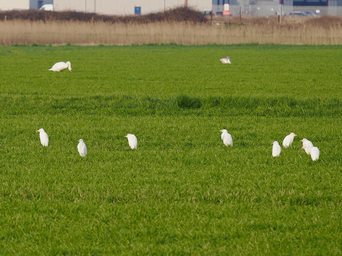 Rob Rackliffe tweet media