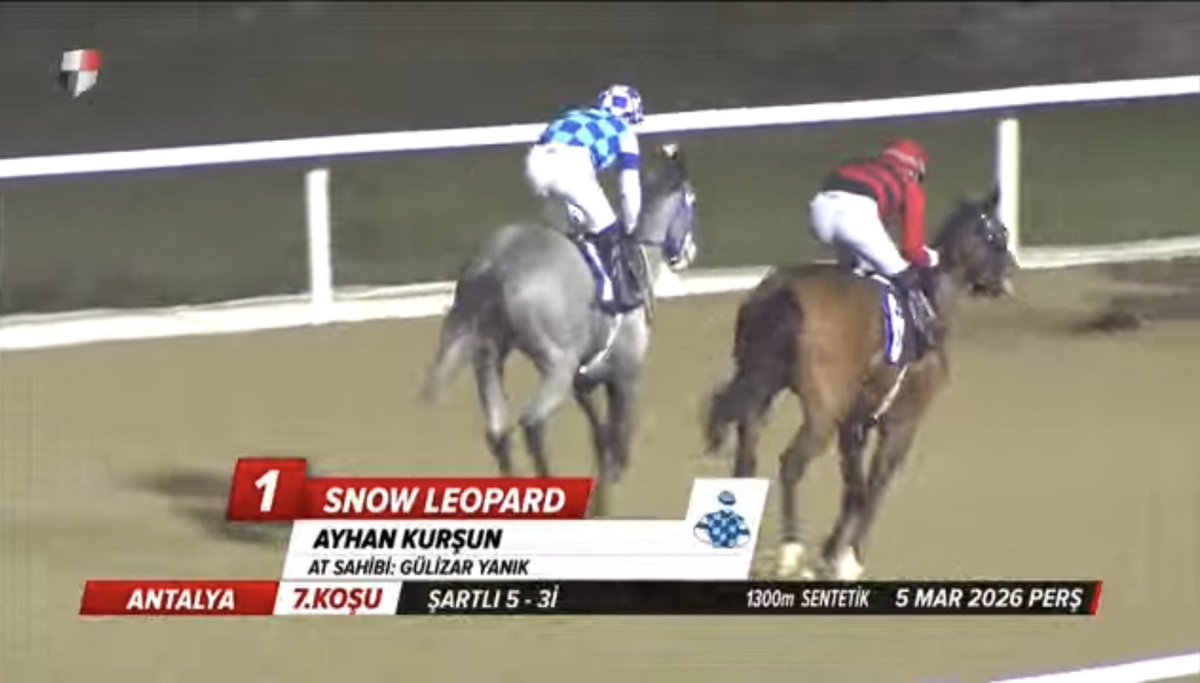 semih katı tweet media