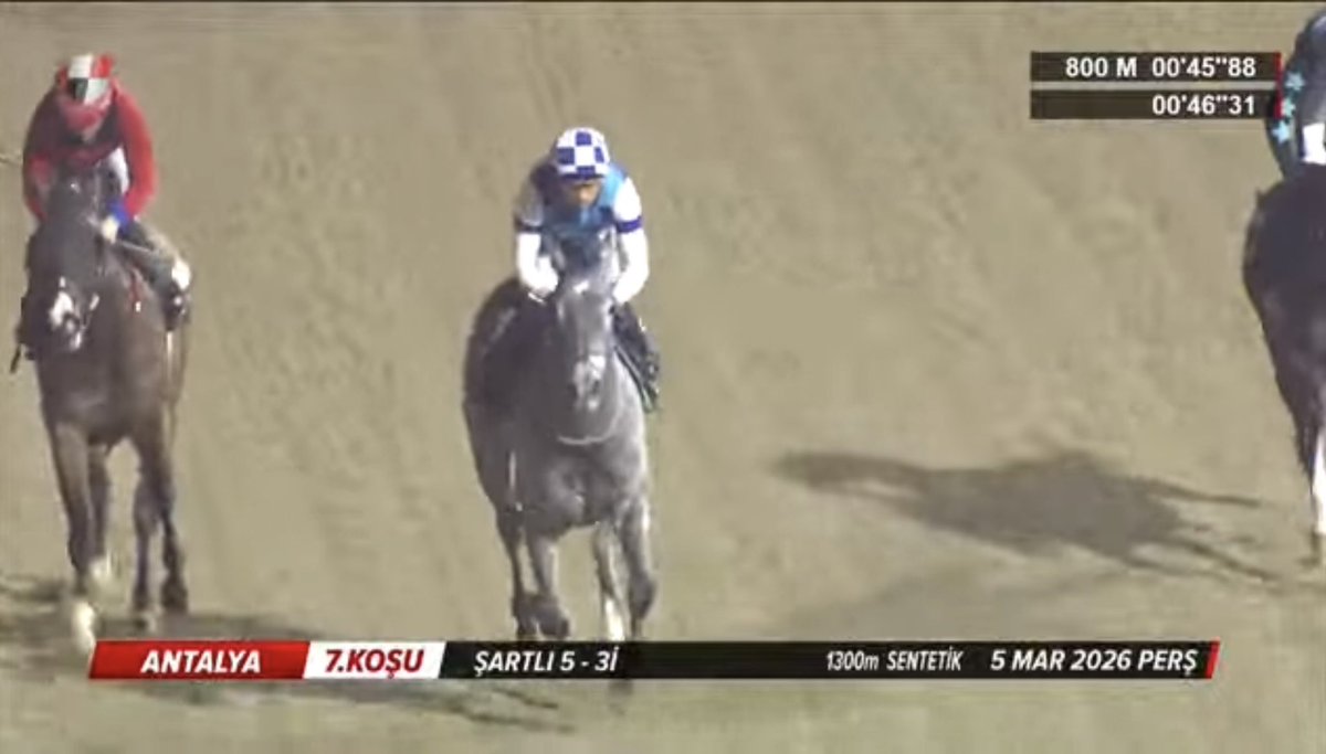 semih katı tweet media