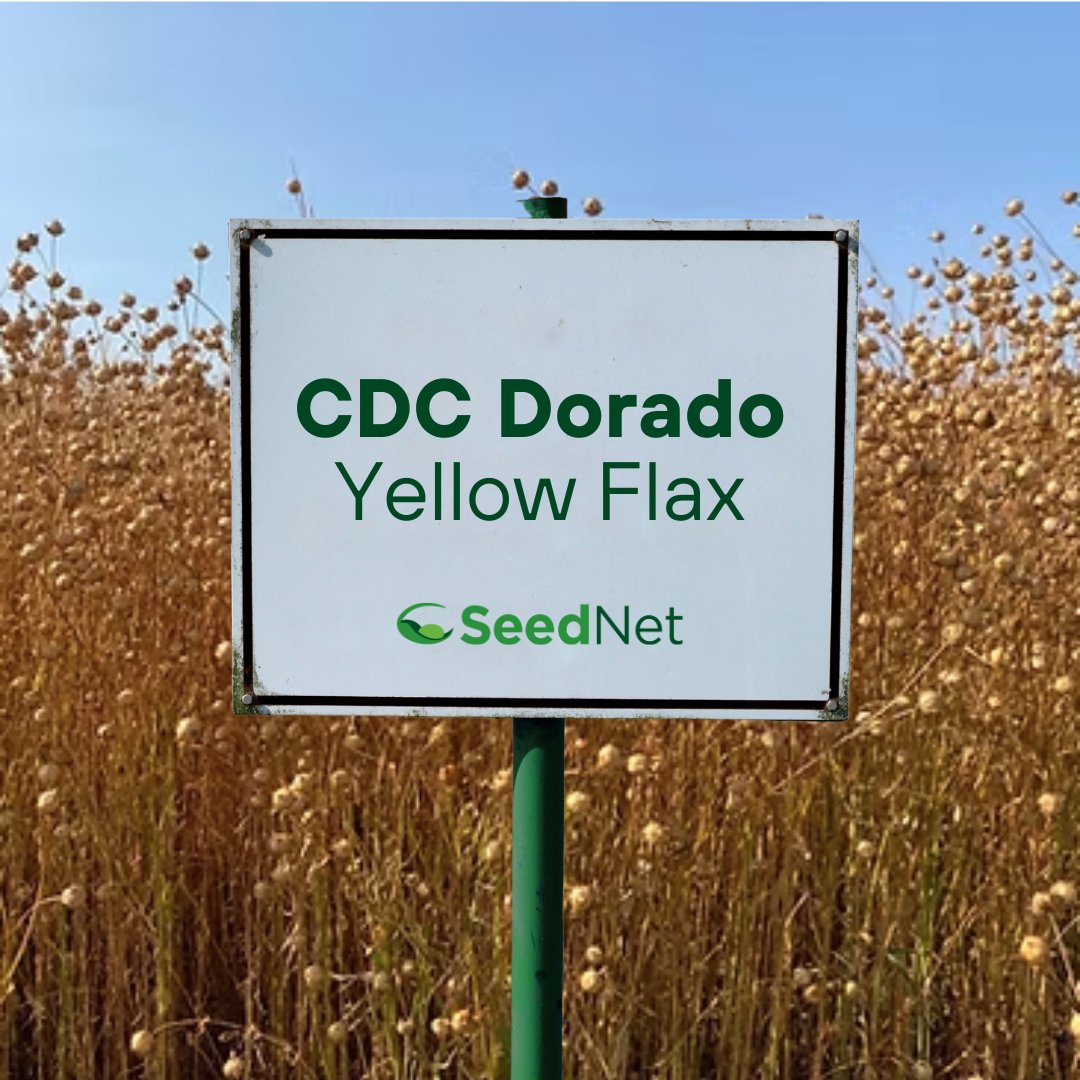 SeedNet Inc. tweet media