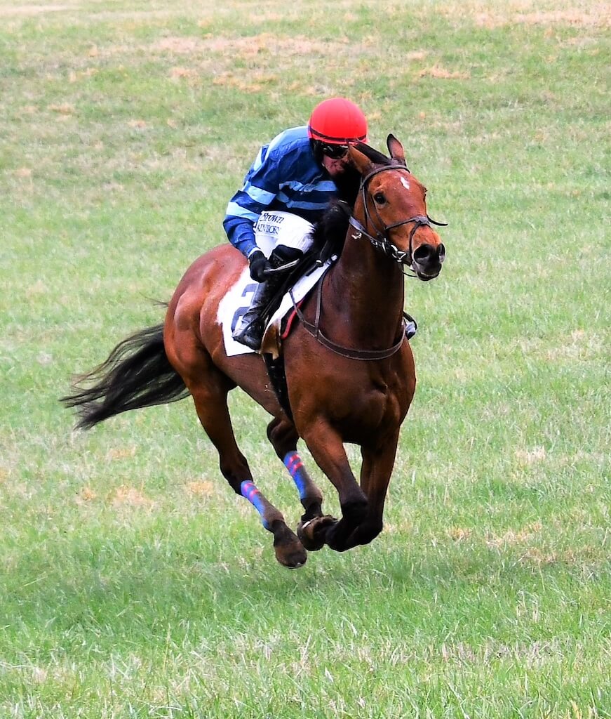 Riverdee Stable/Clancy Bloodstock tweet media