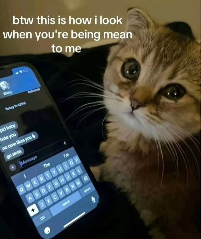 MemesToView's tweet photo. https://t.co/Km7P6xMmzh