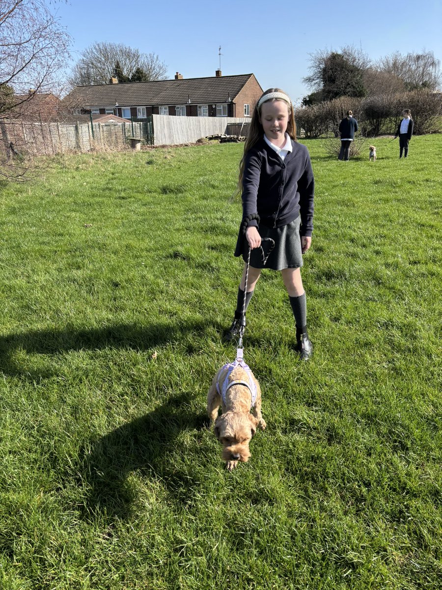 Thames View Primary School tweet media