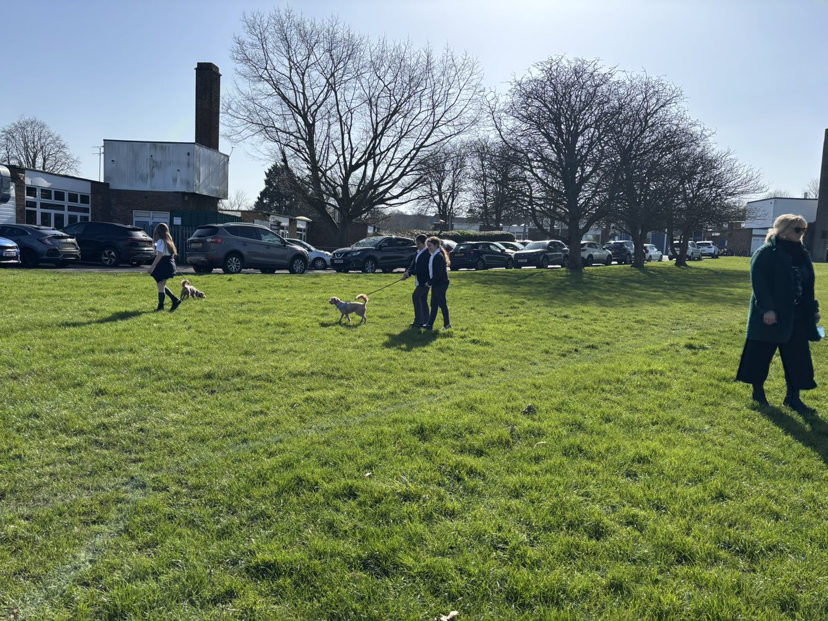 Thames View Primary School tweet media