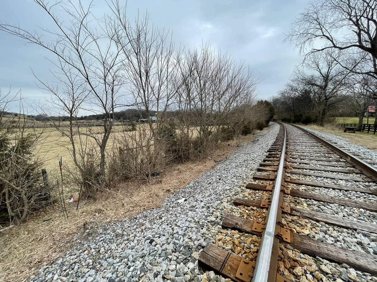 Bedford Forrest tweet media