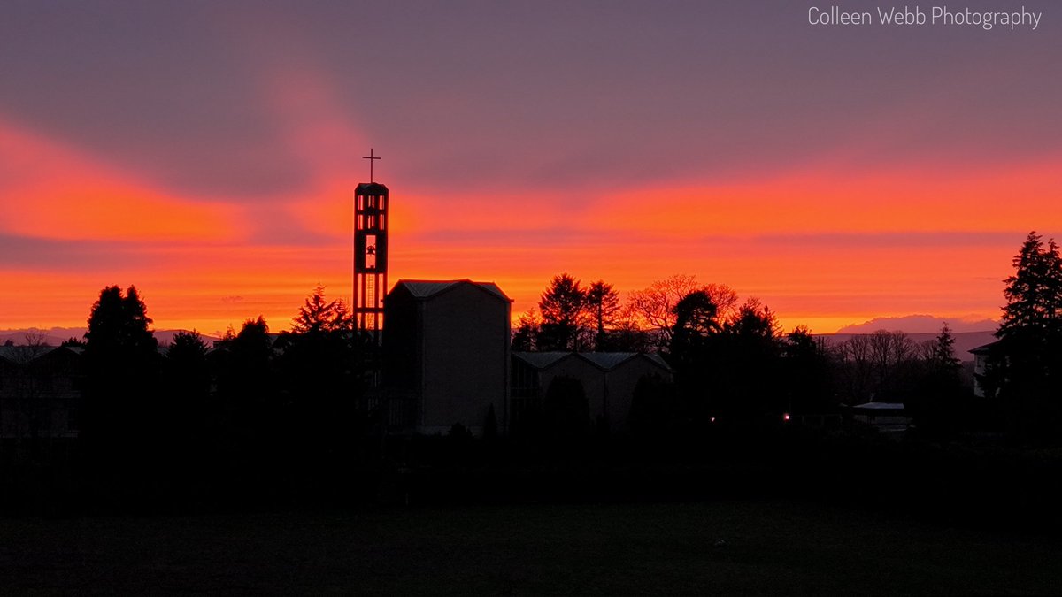 Colleen Webb tweet media