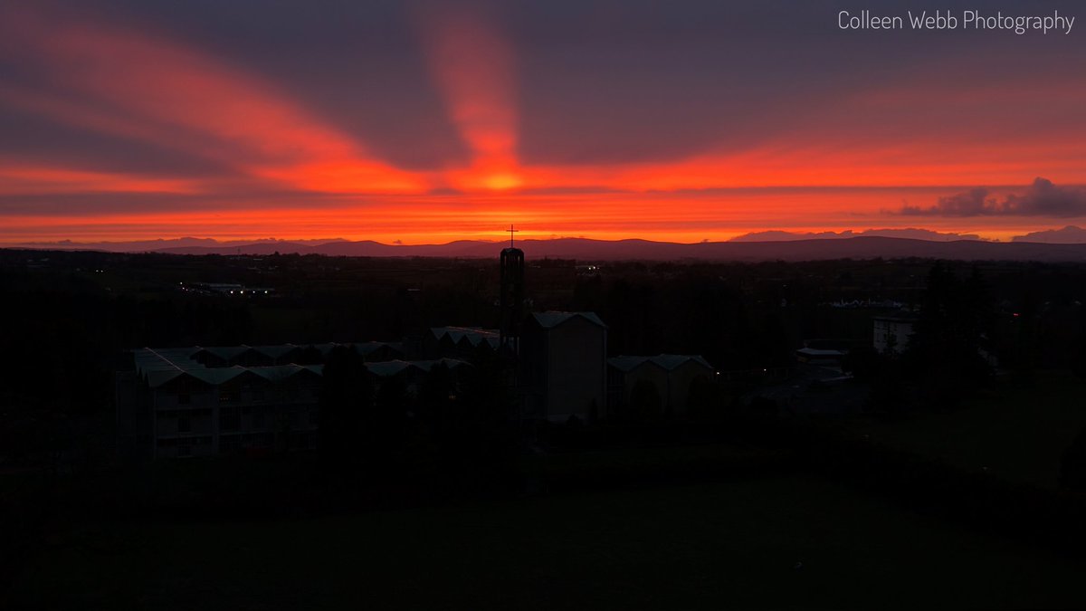 Colleen Webb tweet media