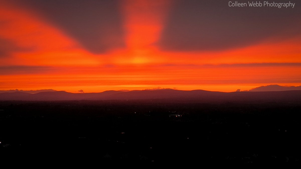 Colleen Webb tweet media