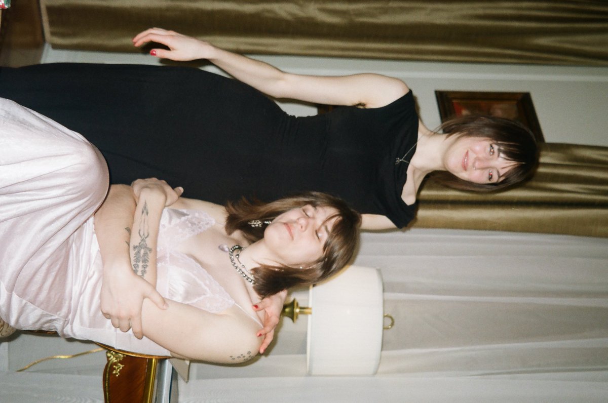 european cabbage butterfly tweet media