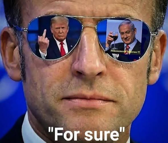 Sarah Abv tweet media