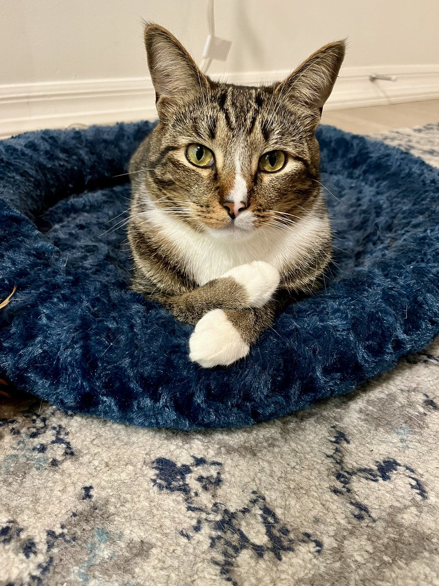 Gina Ippolito tweet media