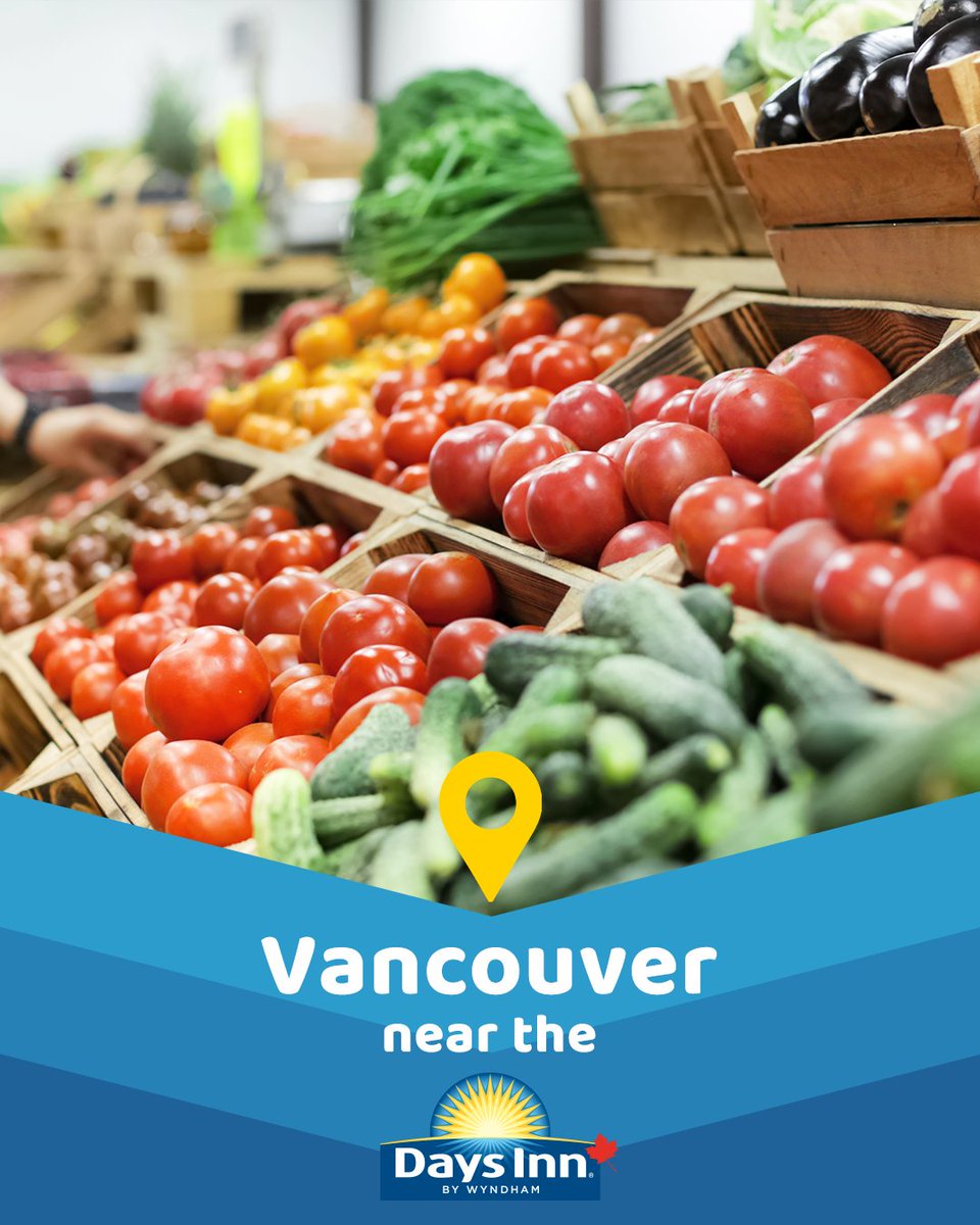 daysinncanada tweet media