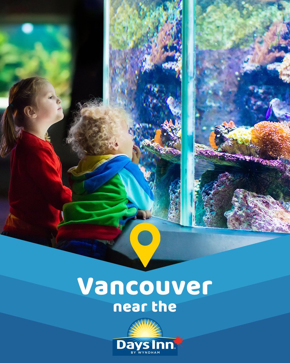 daysinncanada tweet media