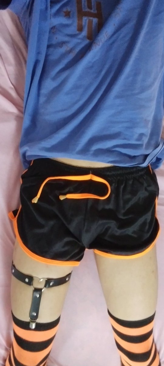 FøxCeifer tweet media