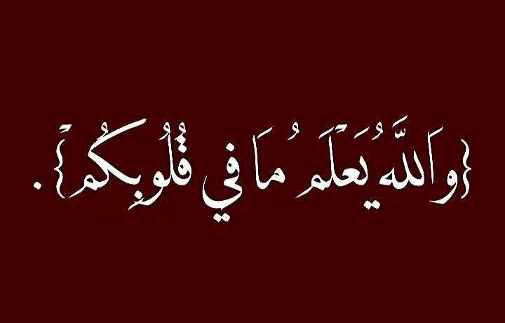 𝘿𝙧. 𝗦𝗽𝗮𝗰𝗲 | 🪐 (@quran_dev) on Twitter photo 