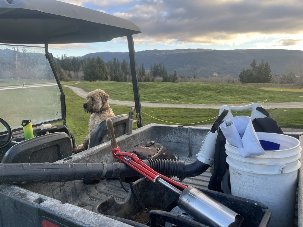 Tommy705 tweet media