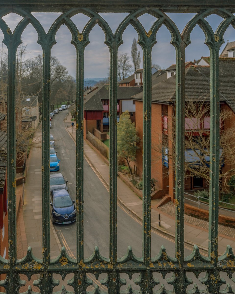 Exeter Daily tweet media