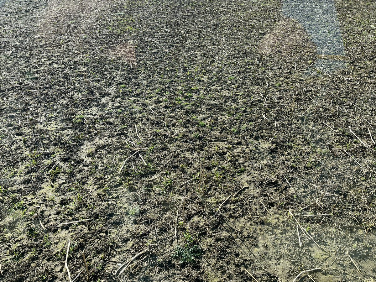 Tom Jewers tweet media