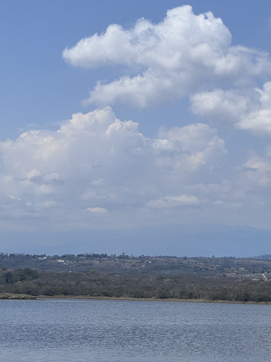 ¿Cómo va su medio día? El mío va así.