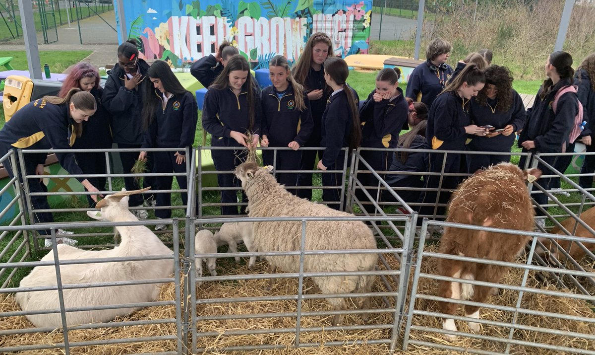 Cb Learning Leaders tweet media