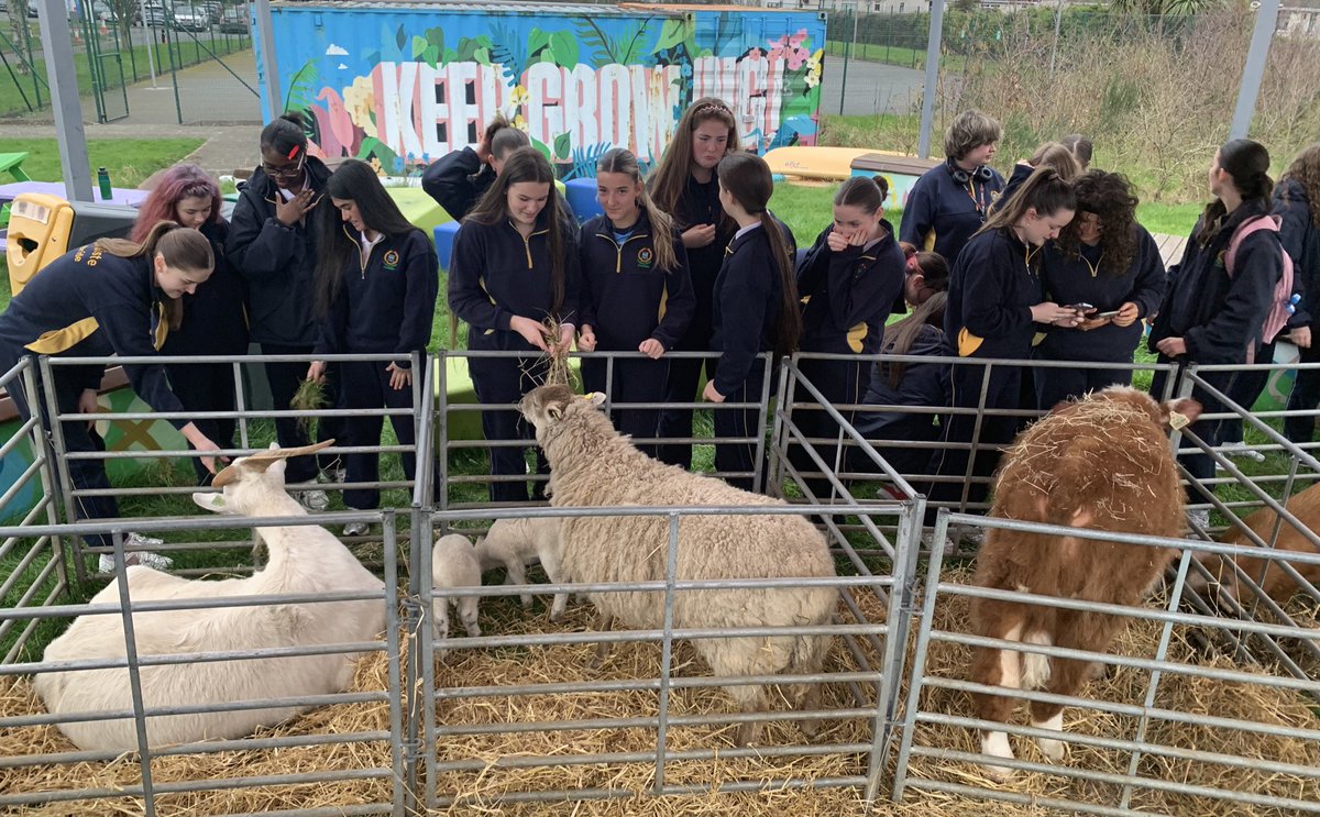 Cb Learning Leaders tweet media