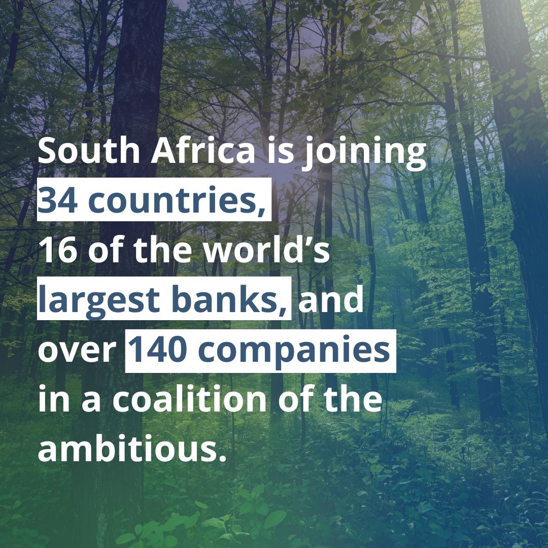 Net Zero Nuclear tweet media