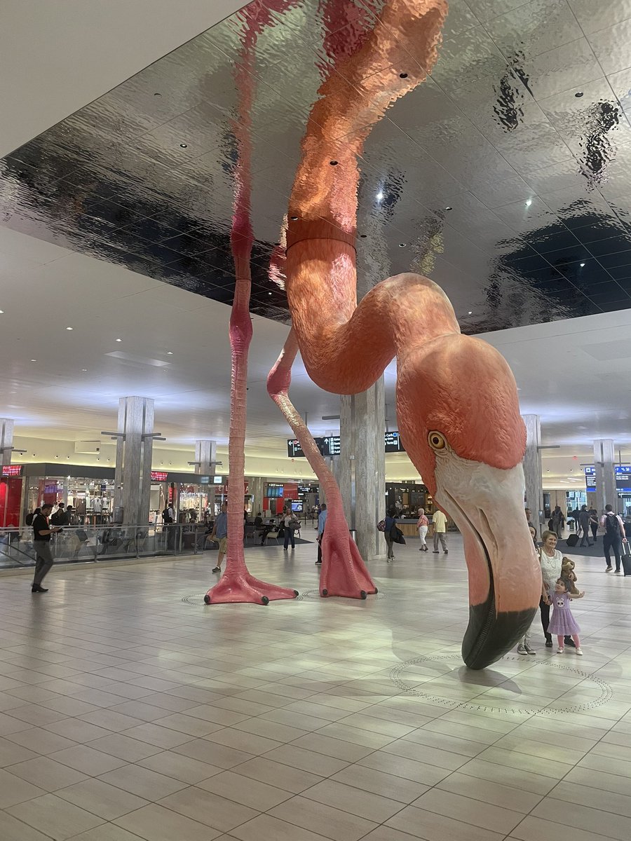 Dustin Stein tweet media