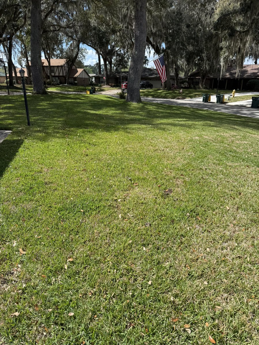 Jay B☘️ tweet media