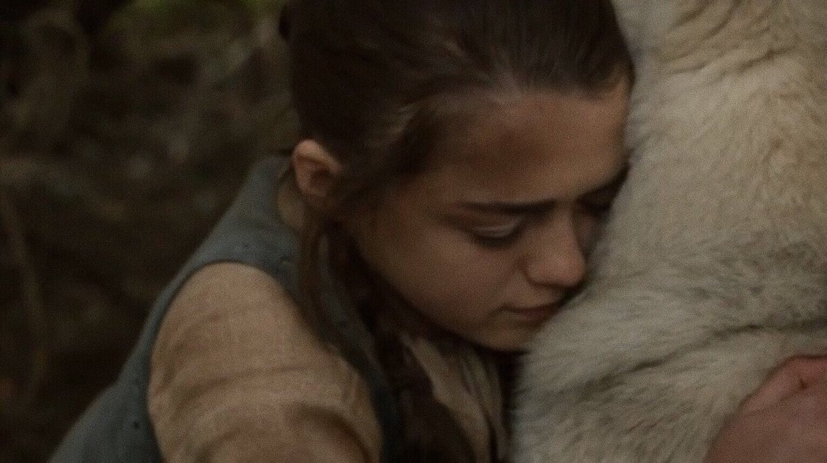 aryasmaisiew's tweet photo. “the wolf pup loved her, even if no one else did.” https://t.co/cKgGuc8Tkm