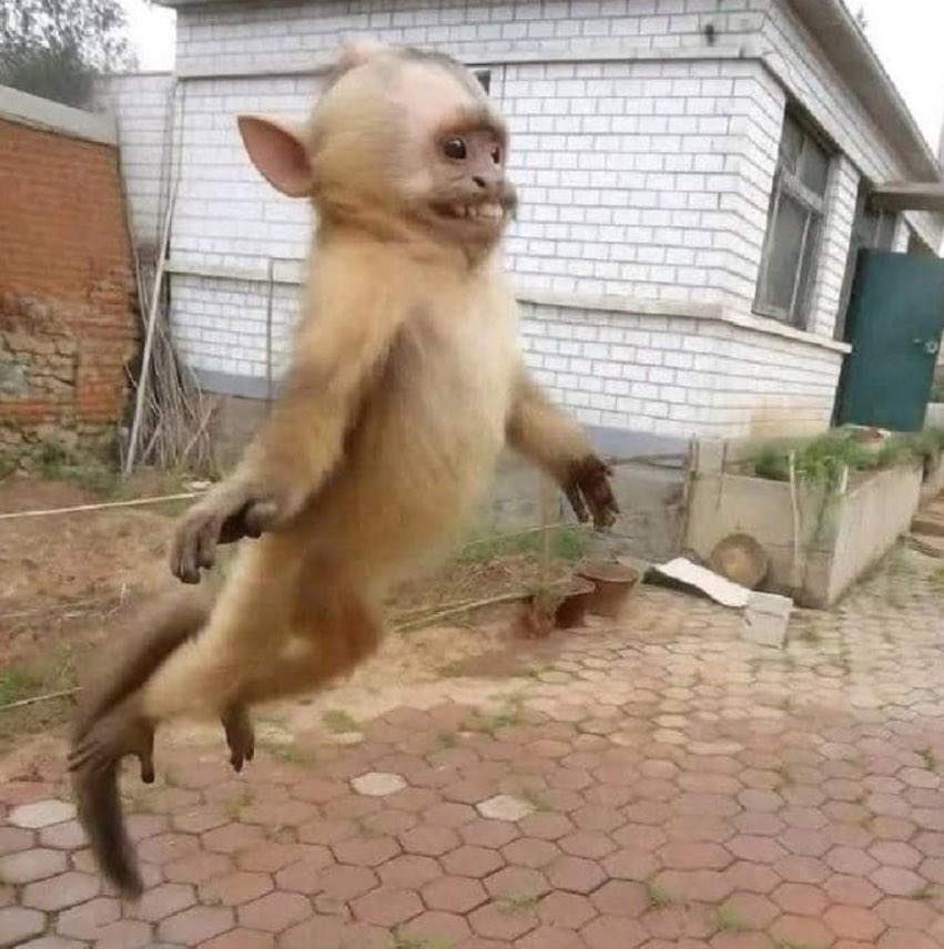 Tinazee☆ 🆇 tweet media