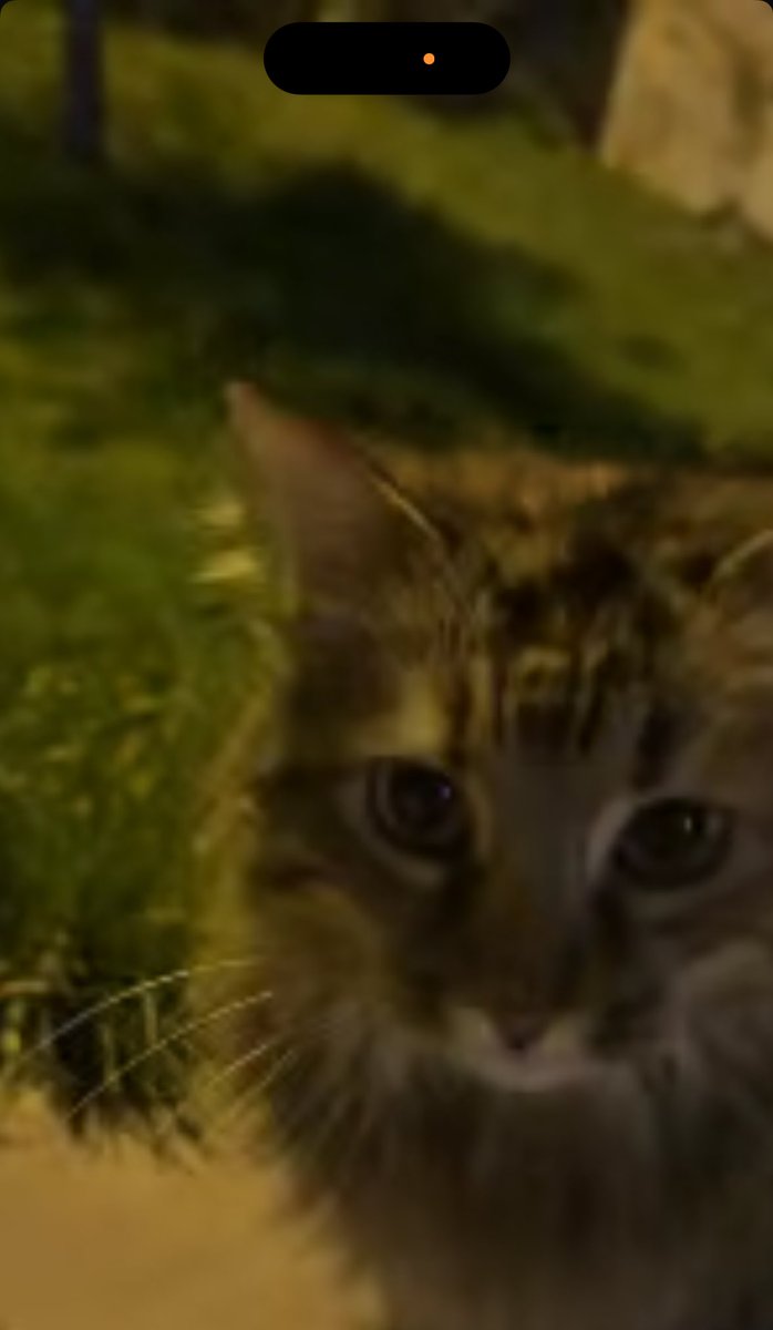 Brynden Rivers🩸🐦‍⬛ tweet media