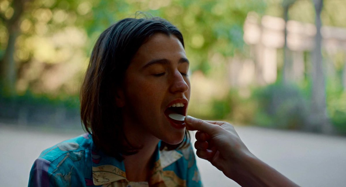 Queer Lion tweet media