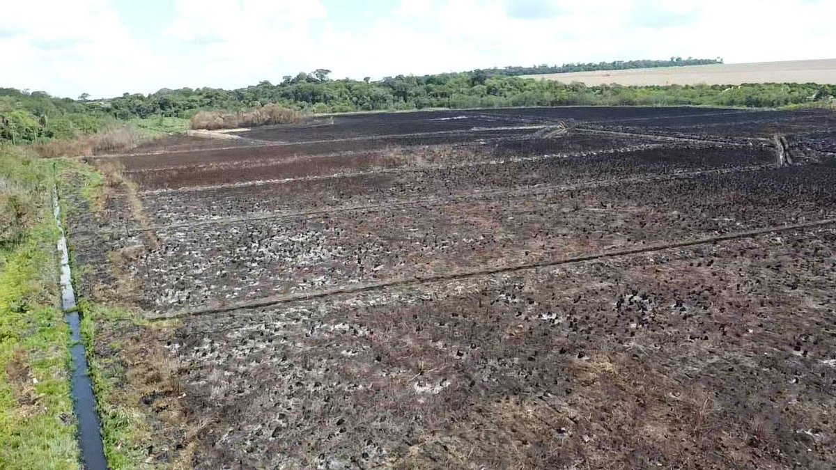 ▶️ CRIMEN AMBIENTAL EN YHÚ: DESTRUYEN 30 HECTÁREAS DE HUMEDALES | 🌿​​🔥

Personal de Delitos Ambientales y el Ministerio Público allanaron una propiedad en Caaguazú tras detectar graves daños a los recursos naturales de la zona.

🚜 Se constató la alteración de cursos de agua