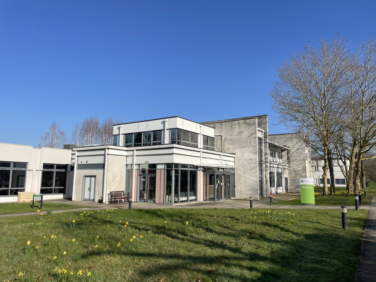 Steven Falk tweet media